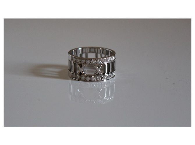 Tiffany & Co Atlas - vista 14