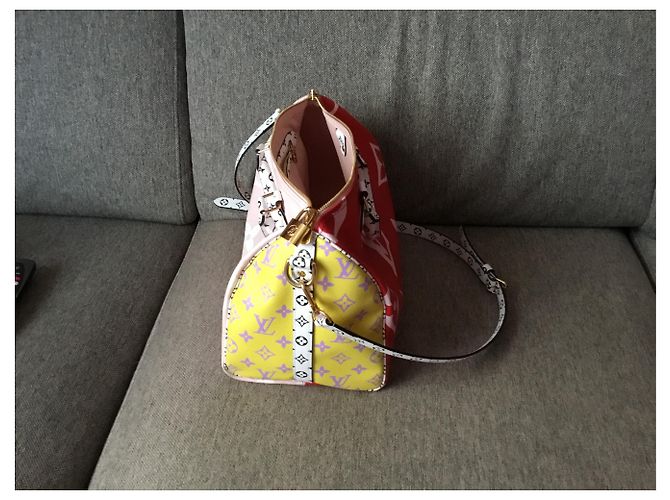 Louis Vuitton Speedy 30 verão Multicor - vista 3
