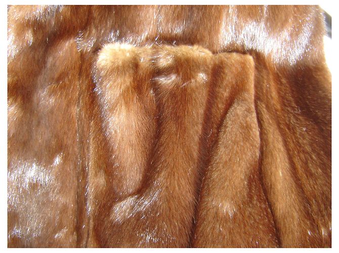 Revillon giacca / cappotto 3/4 - VISONE Marrone scuro - vista 4