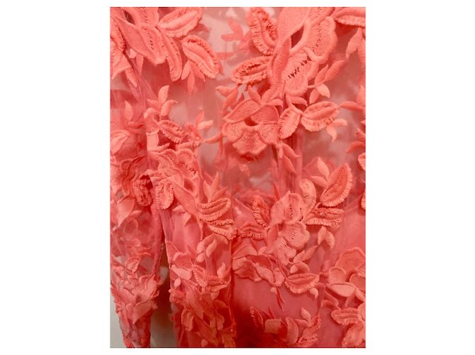 Topshop Spitzenkleid Koralle - Ansicht 3