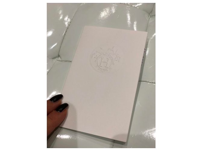 Corte Hermès Kelly Gris - vista 9