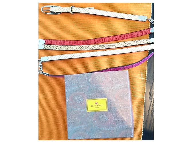 Etro Mehrfarbiger Ledergürtel Braun Schwarz Rot - Ansicht 2