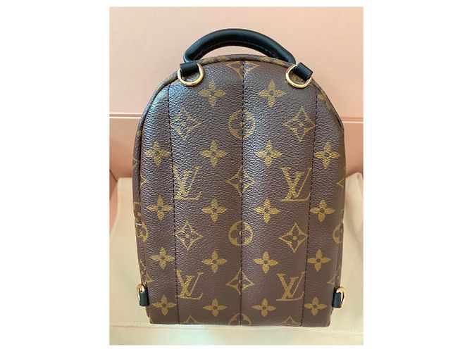Louis Vuitton Palm Springs Mini-Rucksack Braun - Ansicht 2