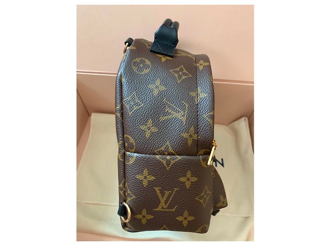 Louis Vuitton Palm Springs Mini-Rucksack Braun - Ansicht 3