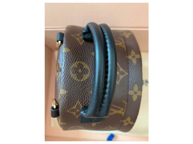 Louis Vuitton Palm Springs Mini-Rucksack Braun - Ansicht 6