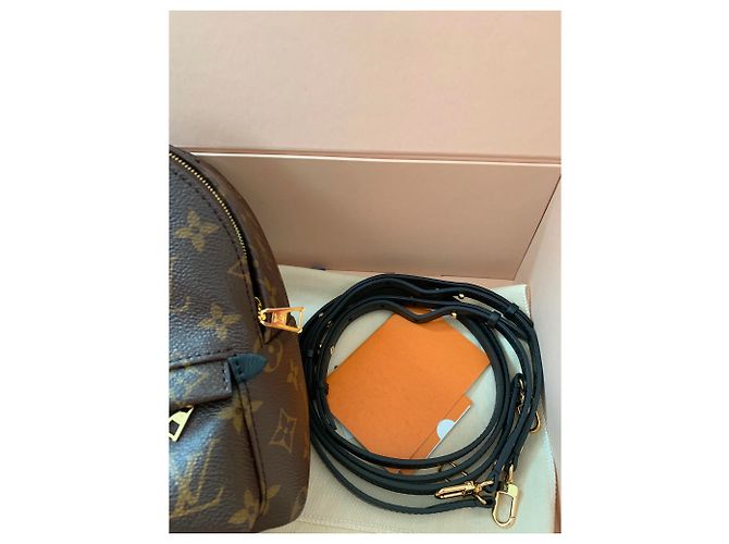 Louis Vuitton Palm Springs Mini-Rucksack Braun - Ansicht 7