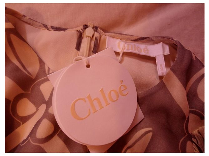 Chloé Blusa de Seda Gris - vista 9