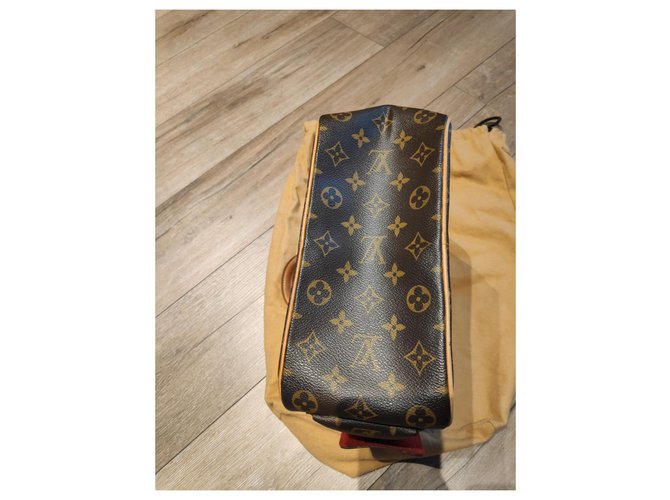 Cité Louis Vuitton Monogramma Excentri-Cite Marrone scuro - vista 2