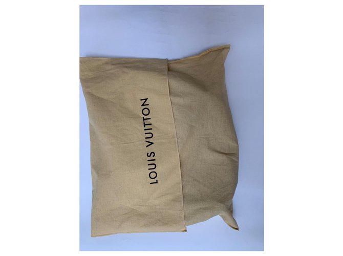 Louis Vuitton Borsa a tracolla e tracolla regolabile Grigio - vista 5