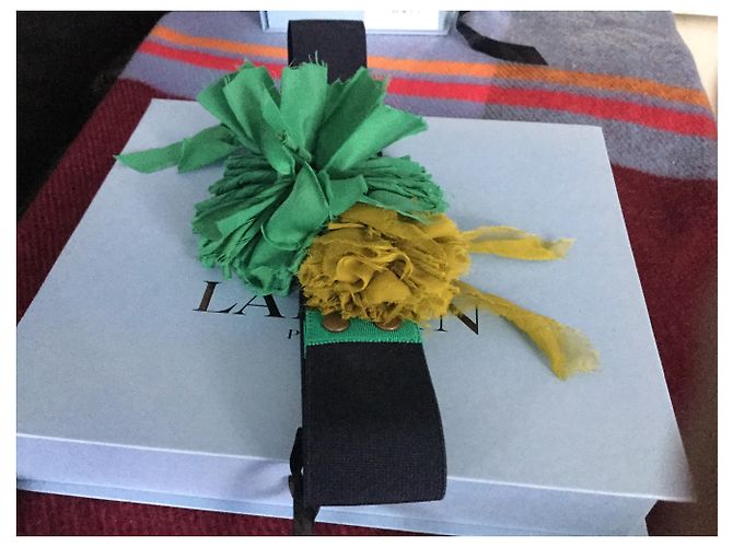 Lanvin POMPON Y CINTURON ELASTICO Verde - vista 6
