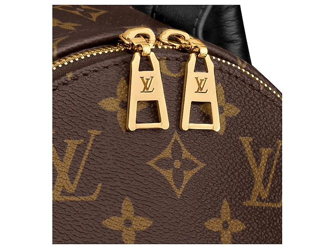 Louis Vuitton Palm Springs LV Rucksack neu Braun - Ansicht 2