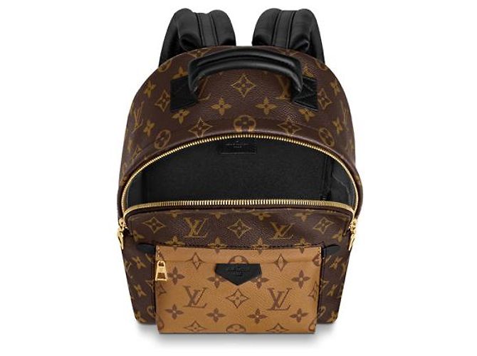 Louis Vuitton Palm Springs LV Rucksack neu Braun - Ansicht 4