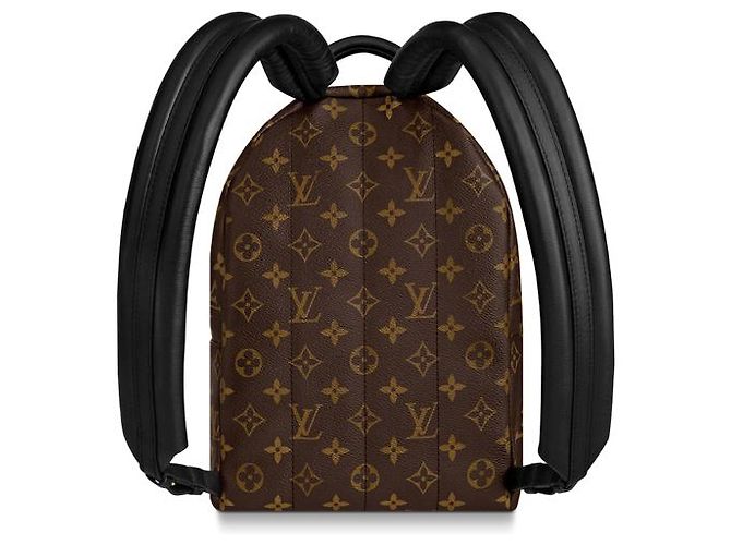 Louis Vuitton Palm Springs LV Rucksack neu Braun - Ansicht 6