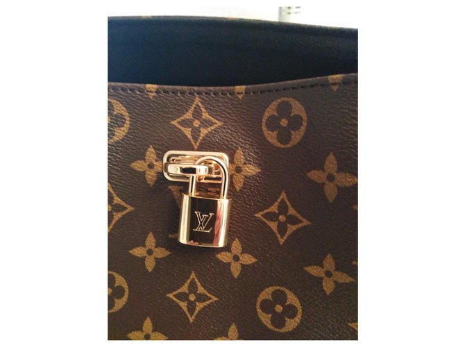 Louis Vuitton Borsa Gaia marrone e nera - vista 4