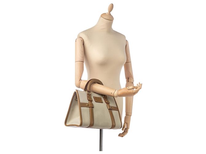 Louis Vuitton Grey Toile Trianon Neverfull PM Marrone Grigio Marrone chiaro - vista 6