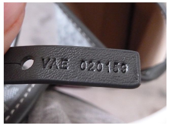 GOYARD SAINT LOUIS PM - vue 10