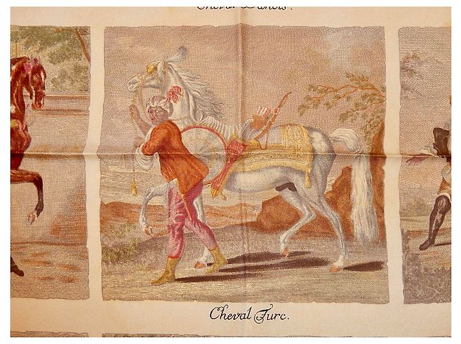 Hermès raças de cavalos Multicor - vista 6