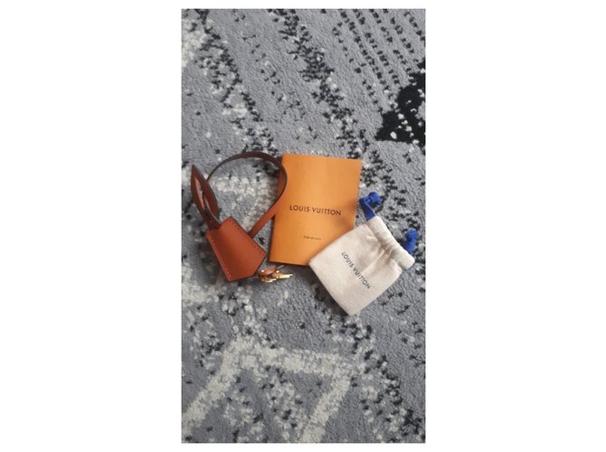 Louis Vuitton FIORE OBO Caramello - vista 4