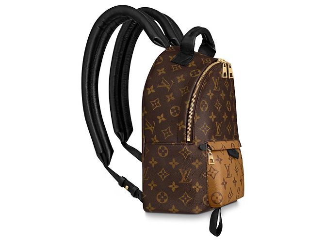 Louis Vuitton LV Palm Springs PM new Brown - view 2