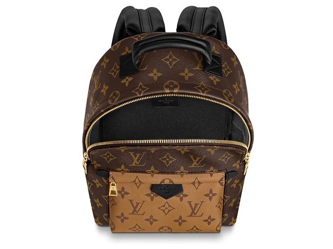 Louis Vuitton LV Palm Springs PM new Brown - view 3