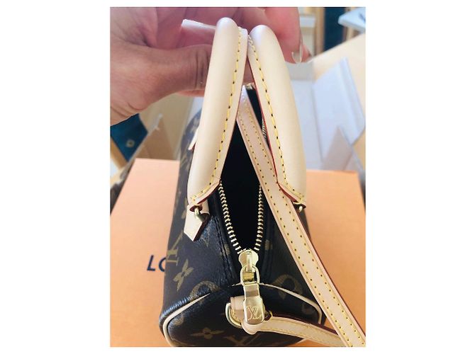 Borsa a mano Louis Vuitton Speedy Nano Marrone in Tela - vista 4
