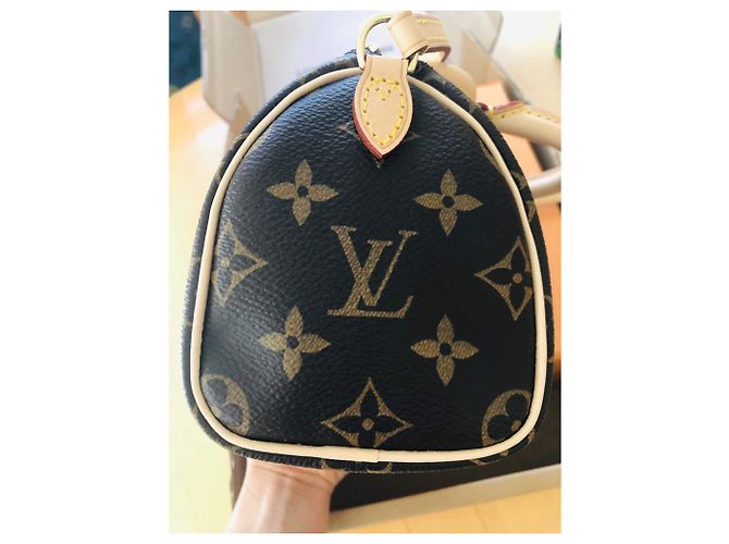 Borsa a mano Louis Vuitton Speedy Nano Marrone in Tela - vista 9