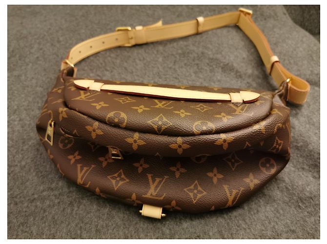 Louis Vuitton LV Bumbag Braun - Ansicht 4