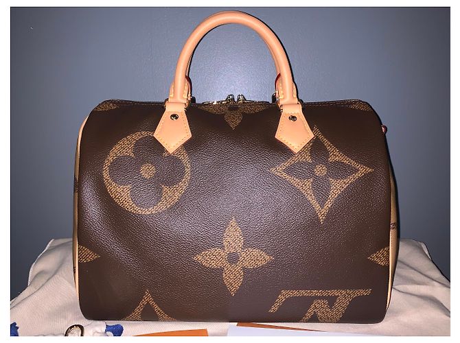 Louis Vuitton Speedy 30 Monogram Giant Reverse Marrone - vista 5