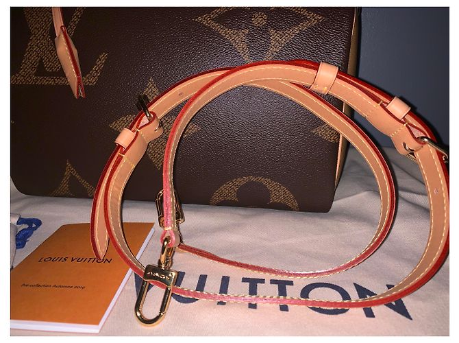 Louis Vuitton Speedy 30 Monogram Giant Reverse Marrone - vista 6