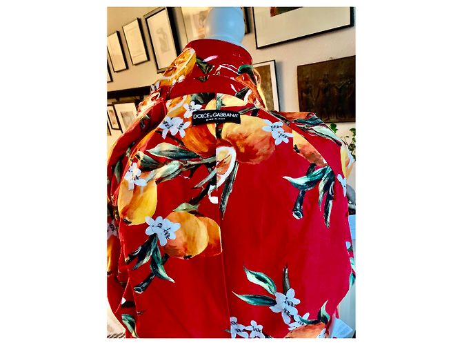 Gabardina corta de algodón encerado Dolce & Gabbana Multicolor - vista 8