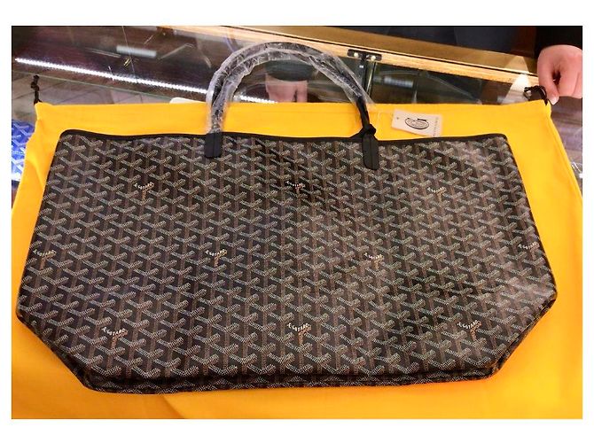 Saint Louis Goyard PM - vista 5