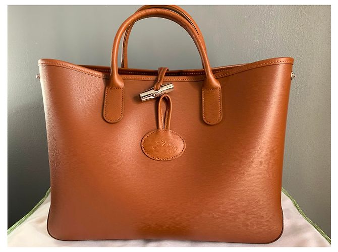 Sac Longchamp Roseau S porté main camel - vue 2