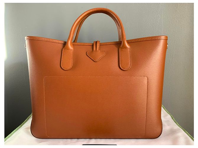 Sac Longchamp Roseau S porté main camel - vue 4