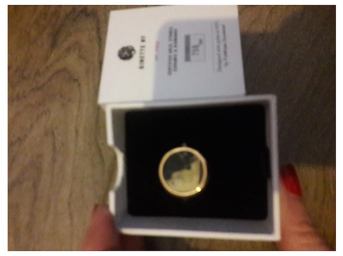 Anello Disc Ginette NY in oro rosa e pirite D'oro - vista 6