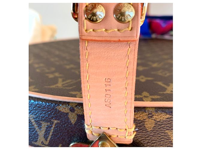 Louis Vuitton Cappelliera Marrone - vista 5