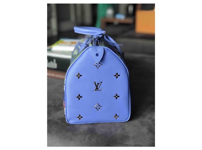 Louis Vuitton Borsa Monet Speedy Masters Blu chiaro - vista 6