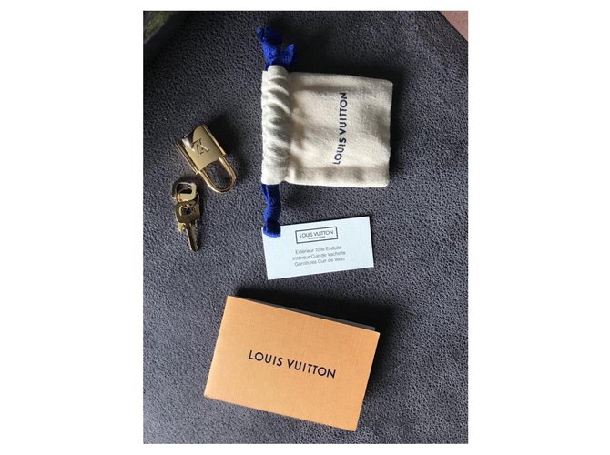 Louis Vuitton Borsa Monet Speedy Masters Blu chiaro - vista 8