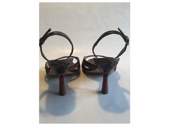 Miu Miu Sandalen aus Python Dunkelrot Bordeaux - Ansicht 2