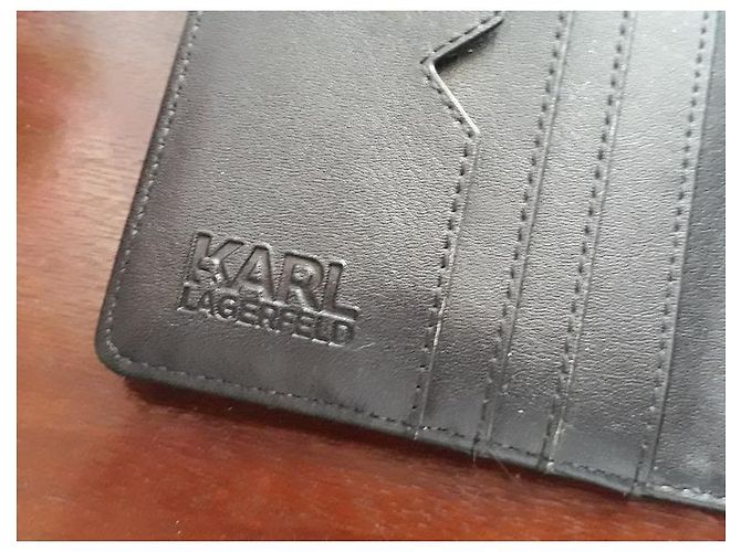 Karl Lagerfeld CHOUPETTE Lagerfeld Wallet Azul - vista 4