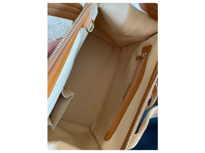 Louis Vuitton Mini Lin Josephine PM Crudo - vista 2