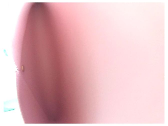 Louis Vuitton Kirigami Pochette grande Marrone Rosa - vista 5