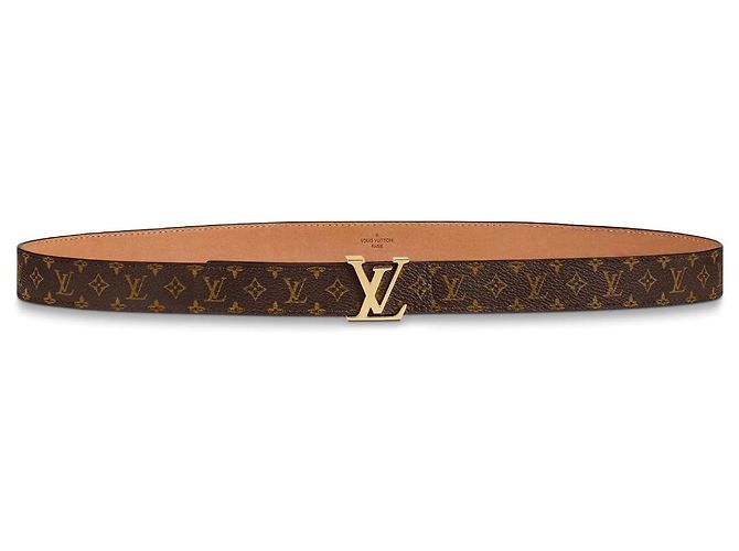 Louis Vuitton Monogramma LV Mini cintura Marrone - vista 2