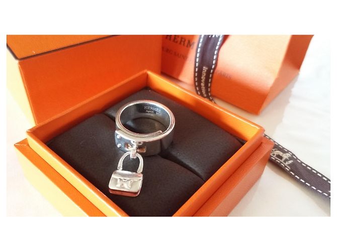 Hermes, Constance Modell wie die Hermès Constance Pendeltasche. Silber - Ansicht 6