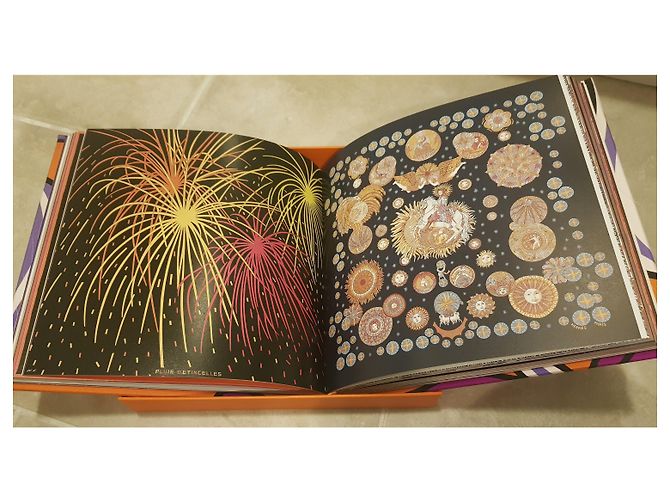 Hermès Le Livre Carre Hermes luxury limited edition Purple - view 21
