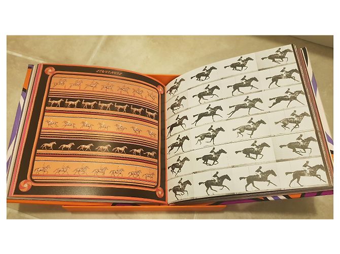 Hermès Le Livre Carre Hermes luxury limited edition Purple - view 22