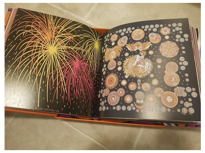 Hermès Le Livre Carre Hermes luxury limited edition Purple - view 24