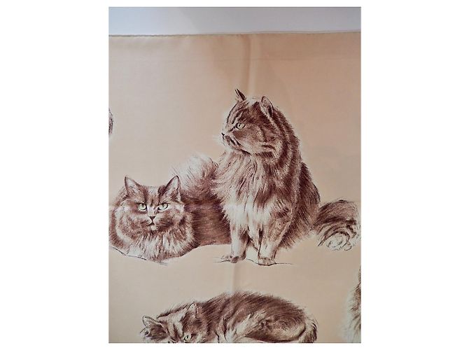 Hermès Gatos persas Crudo - vista 4