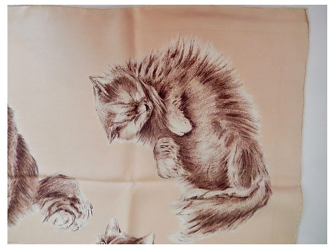 Hermès Gatos persas Crudo - vista 5