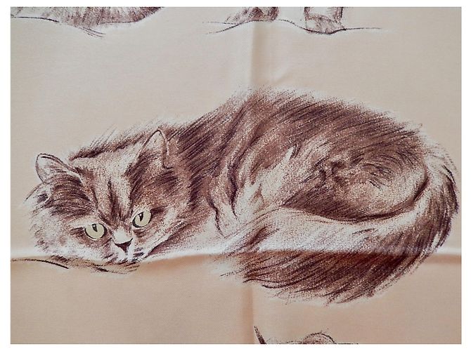 Hermès Gatos persas Crudo - vista 6