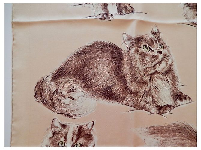 Hermès Gatos persas Crudo - vista 8